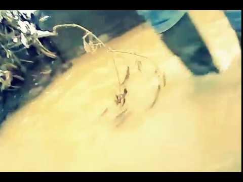 proline trapper boots