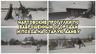 ВЕСЕННИЕ ПРОГУЛКИ. Заброшенные огороды и старая дамба. #Март2024.