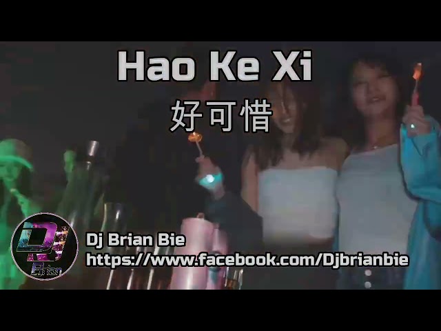 Hao Ke Xi 好可惜 Remix By Dj Brian Bie Tiktok Hot Song class=