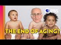 Understanding Aging and Entropy