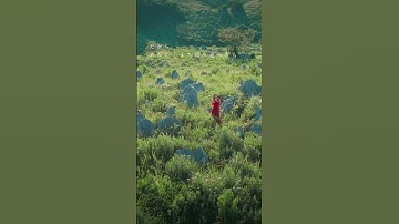 milet「Anytime Anywhere」Music Video Short ver. #milet #Short