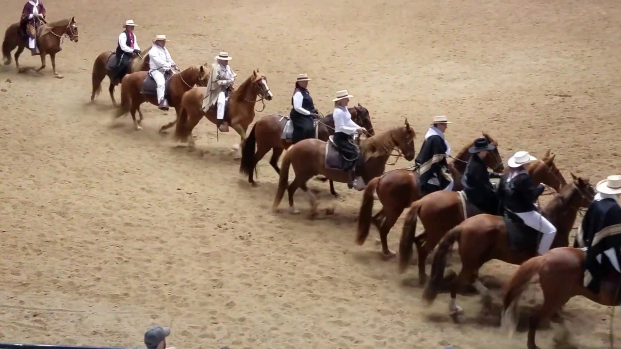 Los Amigos Peruvian Paso Club