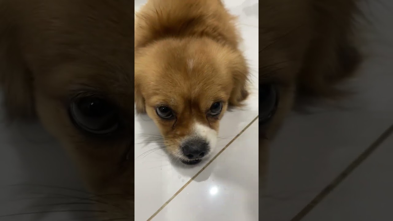 Полное видео ниже 