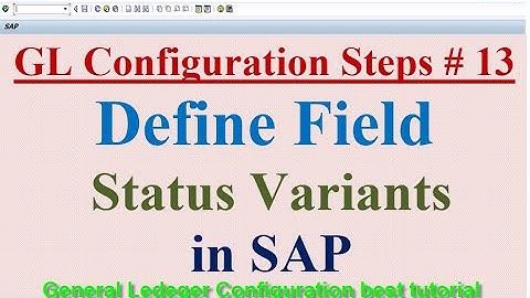 GL Configuration Steps #13 Define Field Status Variants in SAP