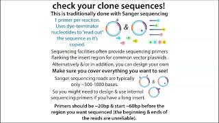 Sequencing your plasmids (emphasis on Sanger sequencing)