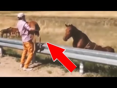 10 Удивительно добрых поступков снятых на камеру