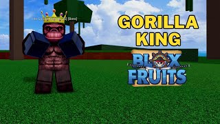 Where To Find Gorillas and Gorilla King in Blox Fruits | Gorilla King Location | First Sea screenshot 1