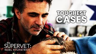 The Supervet: Noel Fitzpatrick's Toughest Cases