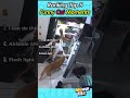 😹🤣 Best Ranking top 5 funny cat moments