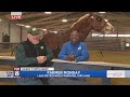 Kenny&#39;s in horse heaven learning about the important role horses play on the farm