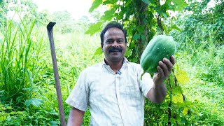 പപ്പായ കൊണ്ട് ഒരു തനി നാടൻ കറി ഉണ്ടാക്കുന്ന വിധം  | Papaya Curry | Keralastyle | Omakka Curry