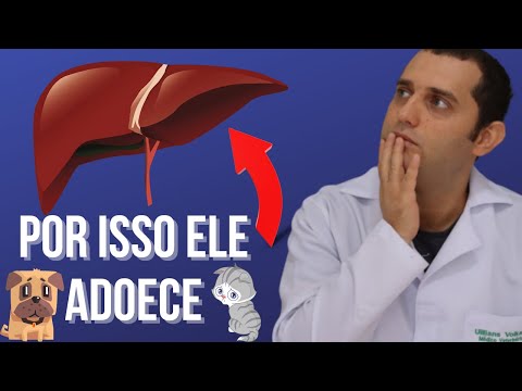 Vídeo: 3 Principais Problemas De Saúde De Cães E Gatos