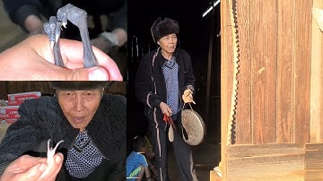 Kv txiv hu plig peb caug plig los zoo kawg xyoo no nawb 22/12/2022