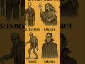 BANSHEE IN REAL LIFE Shorts Animals 