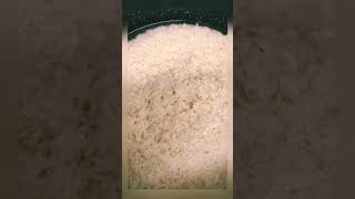 IMG 1729 2