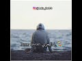 ساكدوفي ظهري والغرب بين عيني mp3