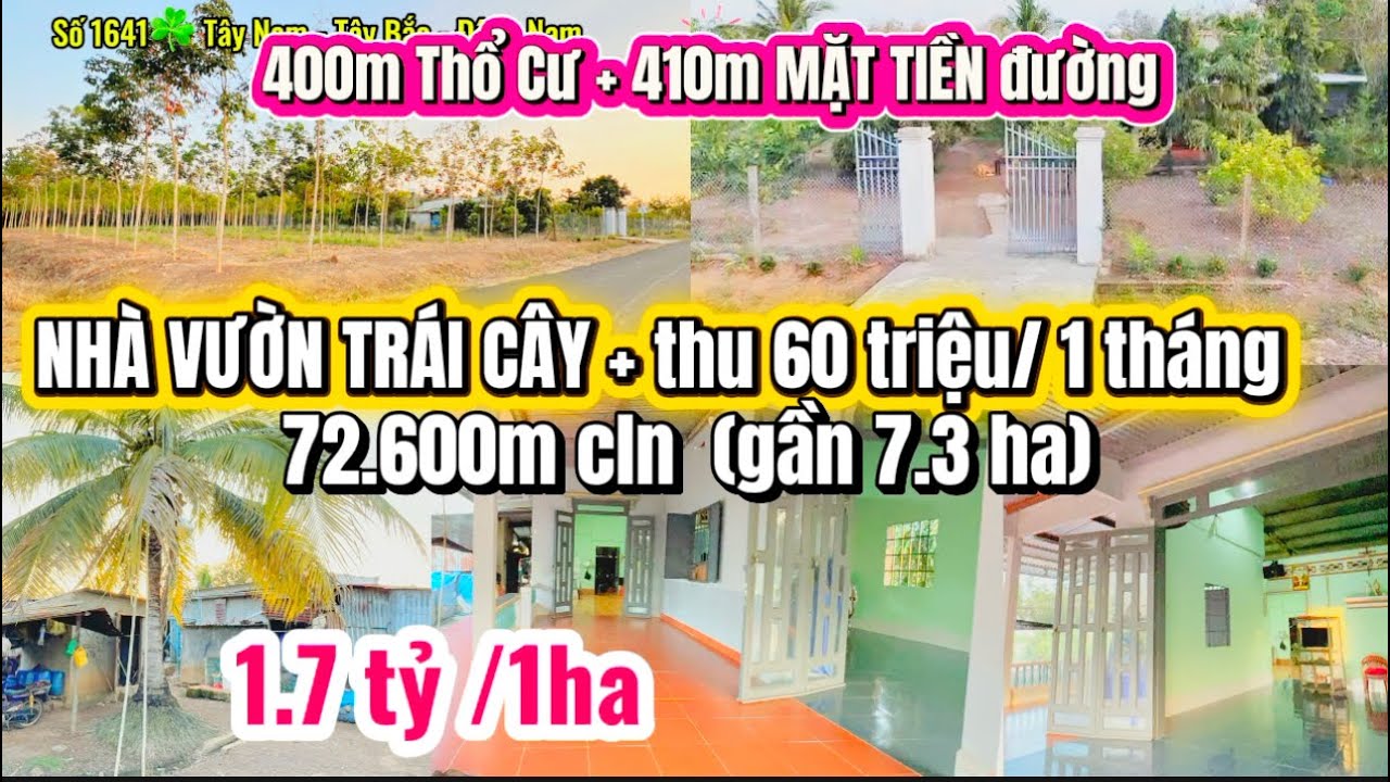 Số 1641✅ NGUỒN ĐẸP 410m mặt tiền + 400mTC + NHÀ VƯỜN TRÁI CÂY + sãn NGUỒN THU 60 triệu/1th