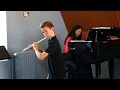 Carl stamitz  flute concerto in g major