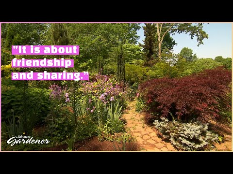 Friendships Garden | Volunteer Gardener