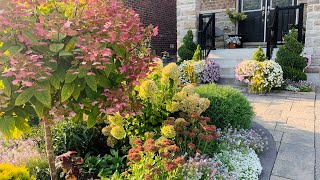 New Panicle Hydrangeas Sowed from Seeds + Saving Seeds + Garden Updates  Mid September 2021