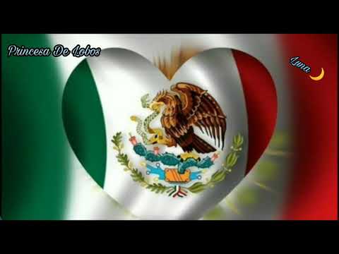 Größe Mexi4 Mexikanische Hängematte Lisboa für 1-3 Personen Familiar Netzhängematte 