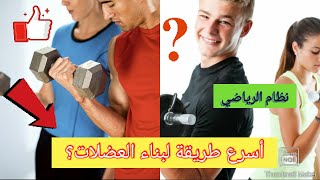 نظام الرياضي - كيفية بناء العضلات؟