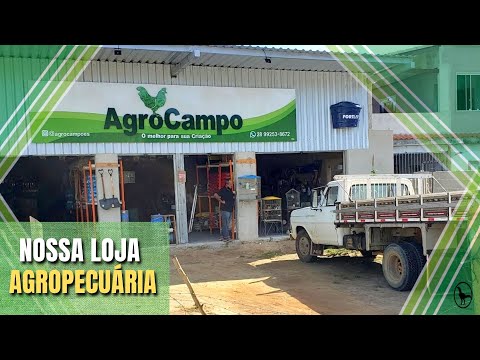 Como ter uma