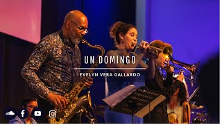 Un Domingo - Evelyn Vera Gallardo (Live at Almere Jazz Concerts)