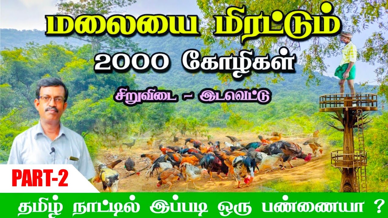 🐔கோழி பண்ணை ஆரம்பித்து ஹோட்டல் நடத்தும் பண்ணையாளர்! மலை அடிவாரத்தில் இப்படி ஒரு பண்ணையா?