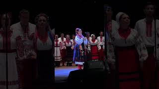 Ой, у лузі червона калина #music #live #folkmusic #folklore #folk #livemusic