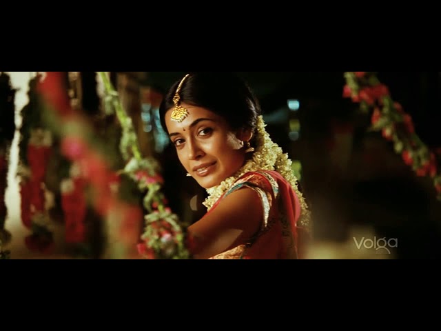 panjaa telugu video songs panjaa telugu video songs