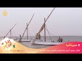 هذا الصباح موريتانيا قبائل حوض آرغين يتمسكون بأسلوب حياة تقليدي هذا الصباح موريتانيا قبائل حوض آرغين يتمسكون بأسلوب حياة تقليدي