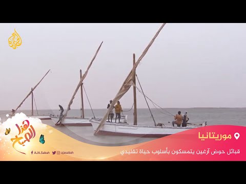 🌅 هذا الصباح - موريتانيا.. قبائل حوض آرغين يتمسكون بأسلوب حياة تقليدي