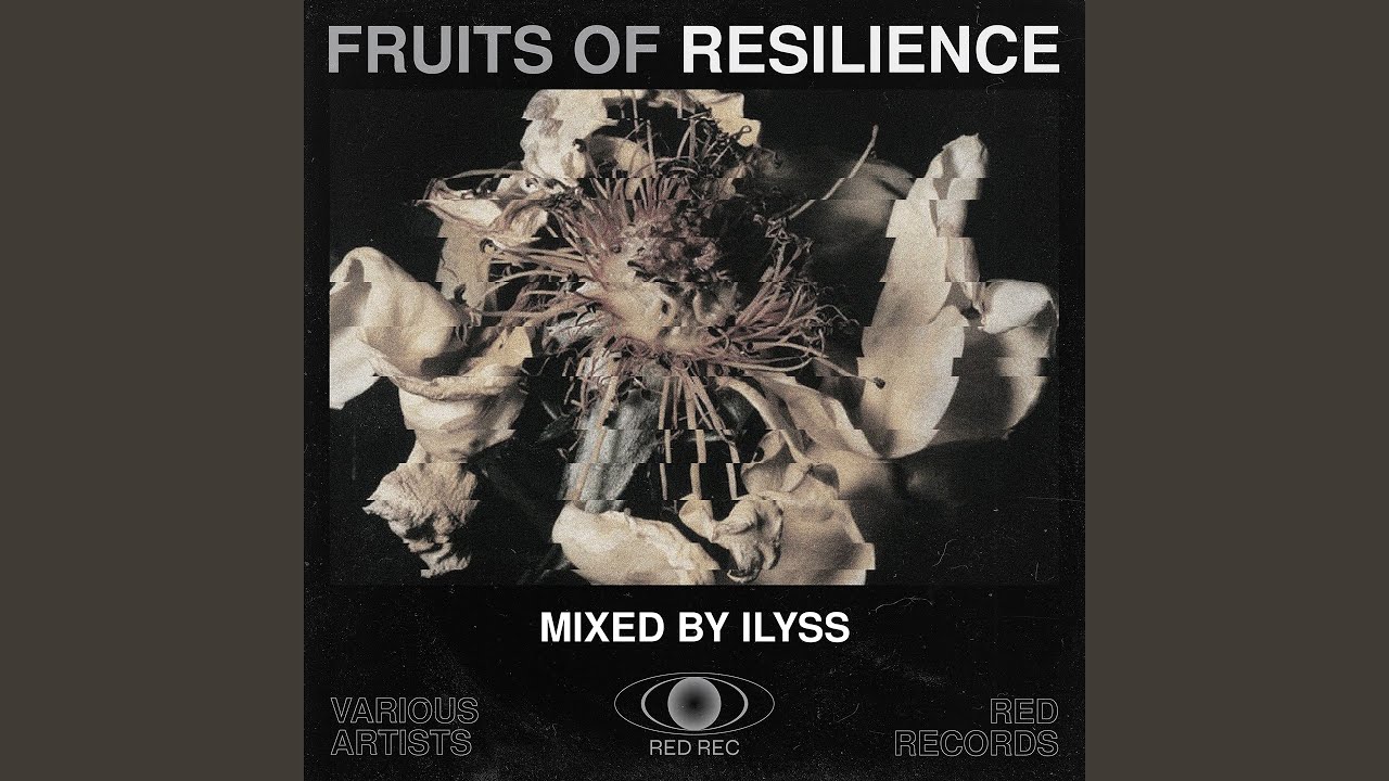 Watch Couvre - Feu (Mixed By Ilyss) on YouTube