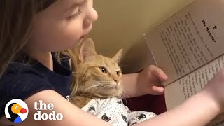 Cat Helps Her Sisters Learn From Home | The Dodo