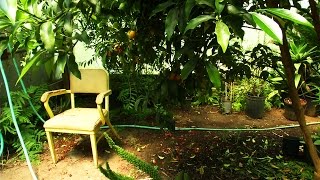 Alan Kapuler - Kinship Garden and Greenhouse Tour Details