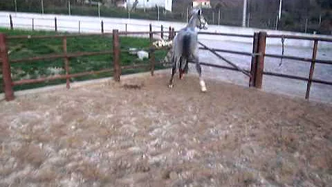 FAHIR DO MONTEMURO  (1st MARCH 2011) -  1