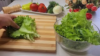 Greek Salad (Very Tasty and Healthy)
