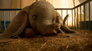 Movie Minute Dumbo Flies Into Theaters