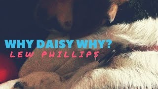 Video thumbnail of "Lew Phillips - Why Daisy Why? (Official Music Video)"