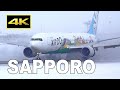 [4K] Snow scene - Plane Spotting at Sapporo New Chitose Airport in Japan / 新千歳空港 JAL ANA AIRDO