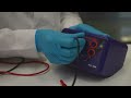 Protein Biotechnlogy with GFP MegaLab - Module 4