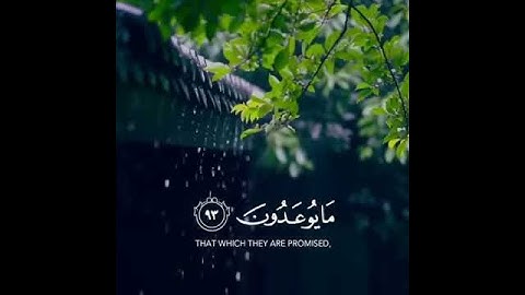 رعد محمد الكردي _ حالات واتس اب دينية _ سورة المؤمنون _ قل رب إما تريني ما يوعدون...