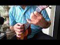 Make You Feel My Love (Adele) Low G Ukulele Solo