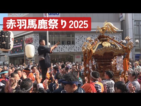 赤羽馬鹿祭り2025 #3 江戸みこしパレード - 東京都北区赤羽 -