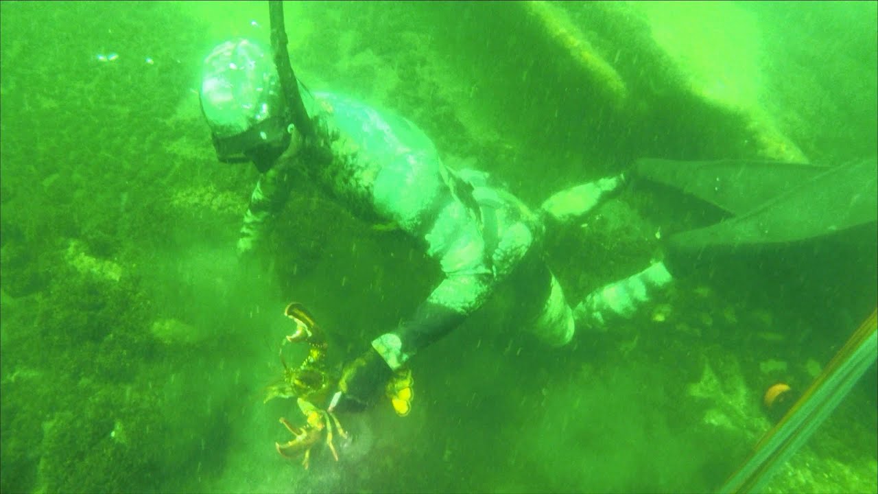 Spearfishing NJ on the fishpros YouTube