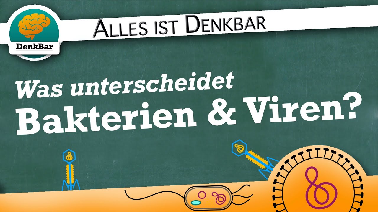 Unterschiede von Bakterien und Viren