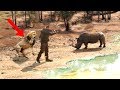 Unbelievable Animals SAVING Other Animals!