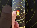 تجميع مسدس سق ساور   320 17