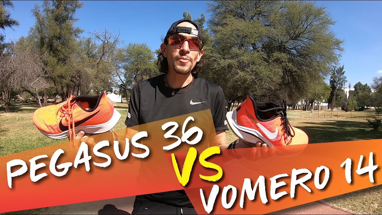 tirar a la basura notificación todos los días PEGASUS 36 VS VOMERO 14 - CUAL ELEGIR - YouTube